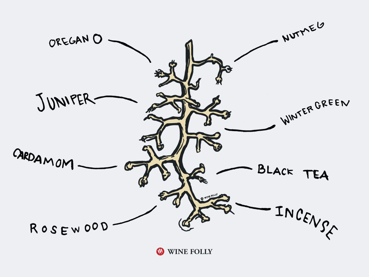 Let's Talk About Fermentation