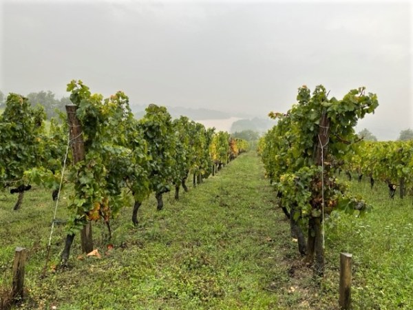 Cotes de Bordeaux