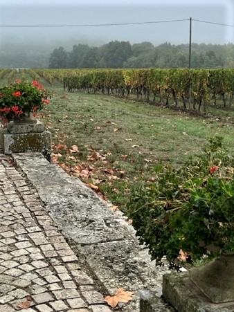 Cotes de Bordeaux