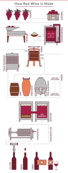 wine words